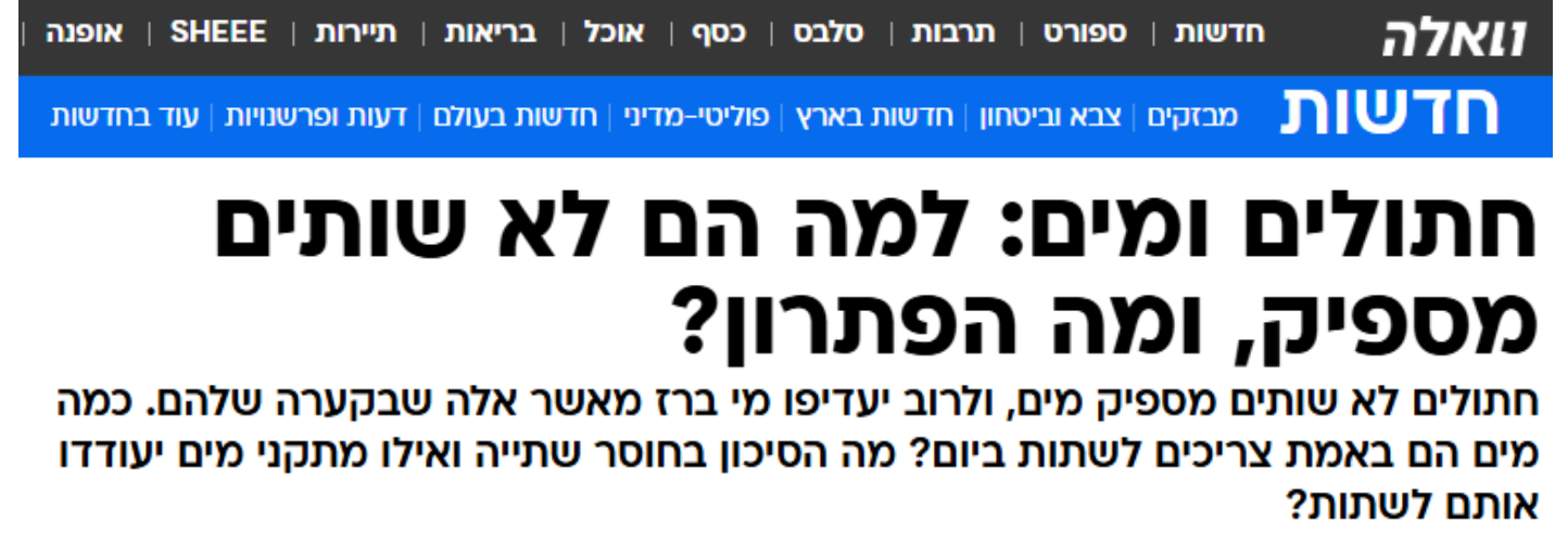 מיטת משחק לחתולים Patent Prime