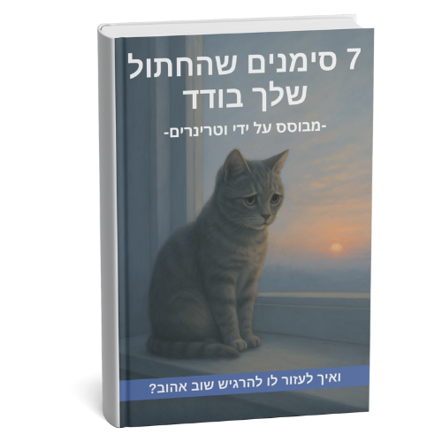 המדריך לזיהוי בדידות - ספר דיגיטלי Patent Prime