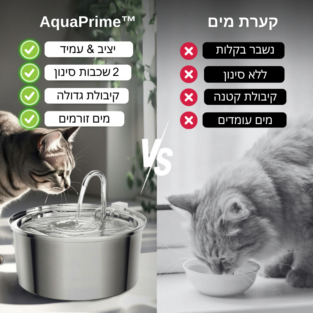 AquaPrime™ - מזרקת מים - Patent Prime
