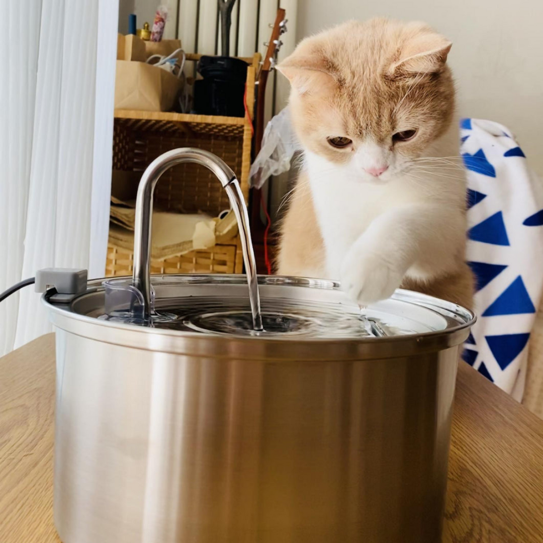 AquaPrime™ - מזרקת מים Patent Prime