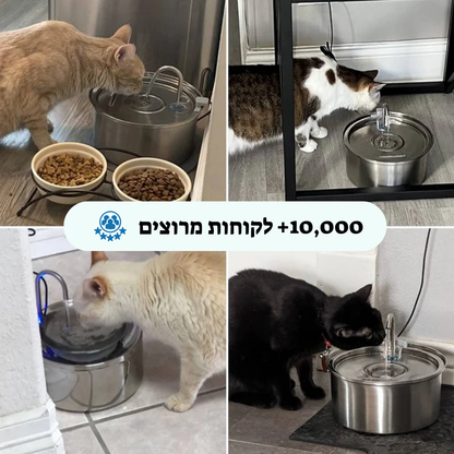 AquaPrime™ - מזרקת מים Patent Prime