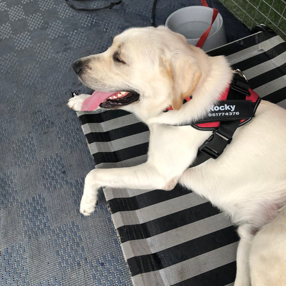 הרתמה המהפכנית - GripPaw™ Patent Prime