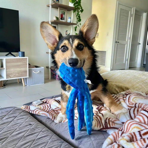 צעצוע לעיסה עמיד בצורת תמנון Patent Prime